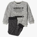 gris/noir